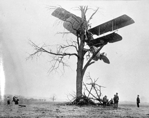 Curtiss JN-4 Jenny in a tree